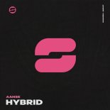 AANSE - Hybrid (Extended Mix)