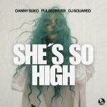 Danny Suko x Pulsedriver x Dj Squared - She´s So High (Extended Mix)