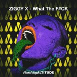Ziggy X - What The FuCK