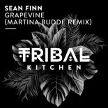Sean Finn - Grapevine (Martina Budde Extended Remix)