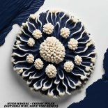 Hugo Handal - Cosmic Pulse (Natasha Wax, Sony Vibe Remix)