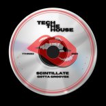 Scintillate - Gotta Groove (Extended Mix)