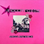 Indoor Foxes - Manic