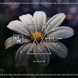 Steve Tosi - Fever Night
