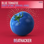 Blue Tomatoe - Burn It Up (Daven Bell Remix)