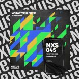 Robert Raya - What You Need
