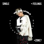 Zone7 - Feelings