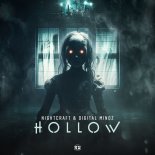 Nightcraft & Digital Mindz - Hollow (Original Mix)