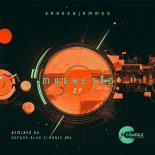 Sanderjammes - Cyborg (Sonic Jay Remix)