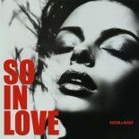 Fiasco & Nicely - So In Love