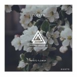 Zoeken - Outwit