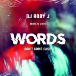 F.R David,Words Don't Come Easy - DJ Roby J (Bootleg 2k25)