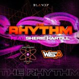 Dream Frequency, Sherie Hartill, Wes P - The Rhythm