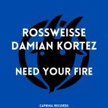 Rossweisse, Damian Kortez - Need Your Fire (Original Mix)