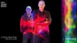 Pet Shop Boys - A Face Like That (dB Remix Edit)