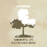 Hundreds - Wonderful Life (Alex Pitchens Remix)