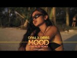 Opał x Gibbs - MOOD (FAIR PLAY REMIX)