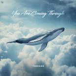 Toricos - You Are Coming Through