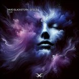David Blackstorm, Gitecdj - Fear (Original Mix)