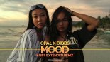Opał x Gibbs - MOOD (Kriss Extended Remix)