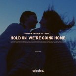 Sixten, Embody & STO CULTR - Hold On, We're Going Home (Extended Mix)