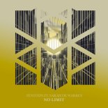 Tensteps ft. Sarah De Warren - No Limit (Extended Mix)