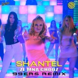 SHANTEL - Ze Mną Chodź (99ers Remix Edit)