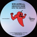 Bob Musella & Groove Dude - Into The Groove
