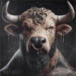 Daniel Sbert & Diatonik - Solitary Echo (Original Mix)