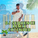 Pudzian Band - Piękna (DJ Sequence Extended Remix)