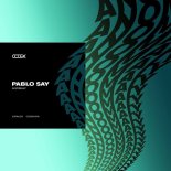 Pablo Say - Anomaly (Original Mix)