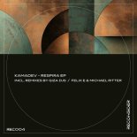 KAMADEV - Destiny (Felix E & Michael Ritter Remix)