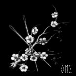 Sleep Token - When The Bough Breaks