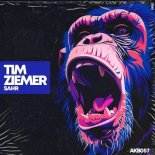 Tim Ziemer - Don't Care What (Original Mix)
