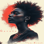 Tom Brook - Gavana (Radio edit)