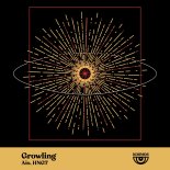 Aio, HNGT - Growling (Lampé Remix)