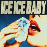 DJ Aligator - Ice Ice Baby (Original Mix)