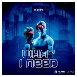 FLGTT - What I Need (Extended Mix)