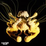 Korolova & Julia Sanina - Higher Calling (Extended Mix)