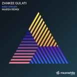 Zankee Gulati - Mind Opener (Marsh Remix)