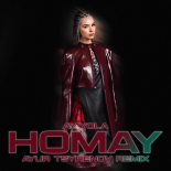 AY YOLA - Homay (Ayur Tsyrenov Remix)