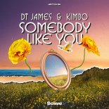DT James & Kimbo - Somebody Like You (Original Mix)