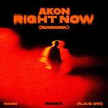 Akon - Right Now (Na Na Na) [Noise Ninjas Festival Remix]