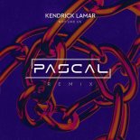 Kendrick Lamar - Not Like Us (PASCAL Remix)