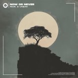 feva. & Uneak - Now or Never (Original Mix)
