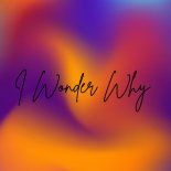 LJN - I Wonder Why (Original Mix)
