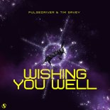 Pulsedriver & Tim Savey - Wishing You Well (Extended Mix)