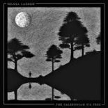 Beluga Lagoon - The Glen (Levi Heron Remix)
