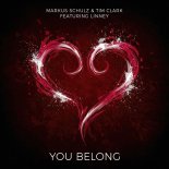 Markus Schulz, Linney, Tim Clark - You Belong (Extended Mix)