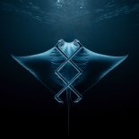 KREAM - Manta (Extended Mix)